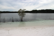 #fraser island #australia