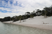 #fraser island #australia