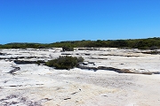 foto Kamay Botany Bay National Park #sydney #autralia #australien